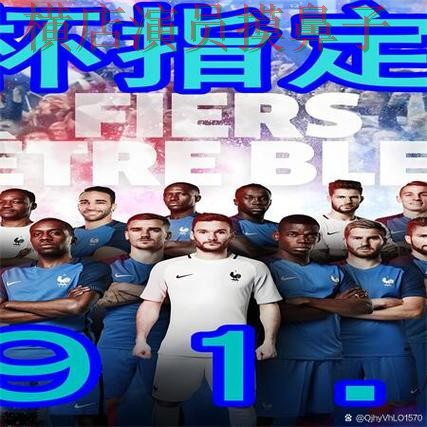 推荐世界杯买球网站：从官网直达到使用全流程解析 - 世界杯数据