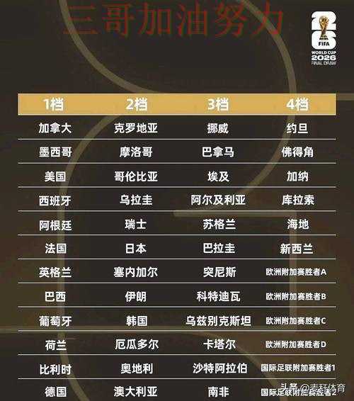 世界杯投注平台全面评测告诉你：哪个好的正确方式（2026世界杯）